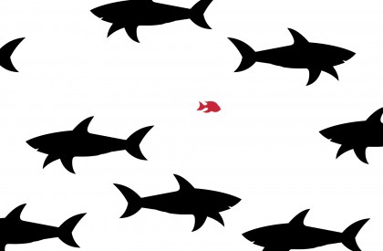 דגה קטנה בים של כרישים: מדוע לעסק קטן יש יתרון משמעותי ביצירת תוכן?